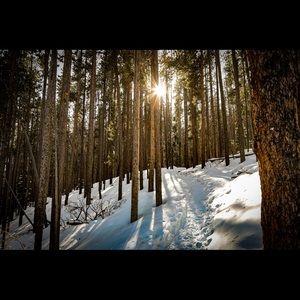 Meet your Posher, Camie